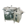 GDS260-08 Pre-made Bag Packing Machine